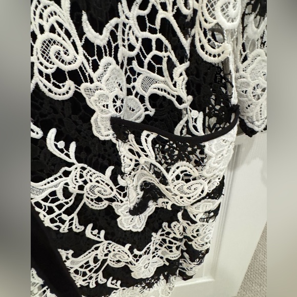 Albert Nipon Black and Porcelain Lace Overlay Dress - Picture 5 of 16